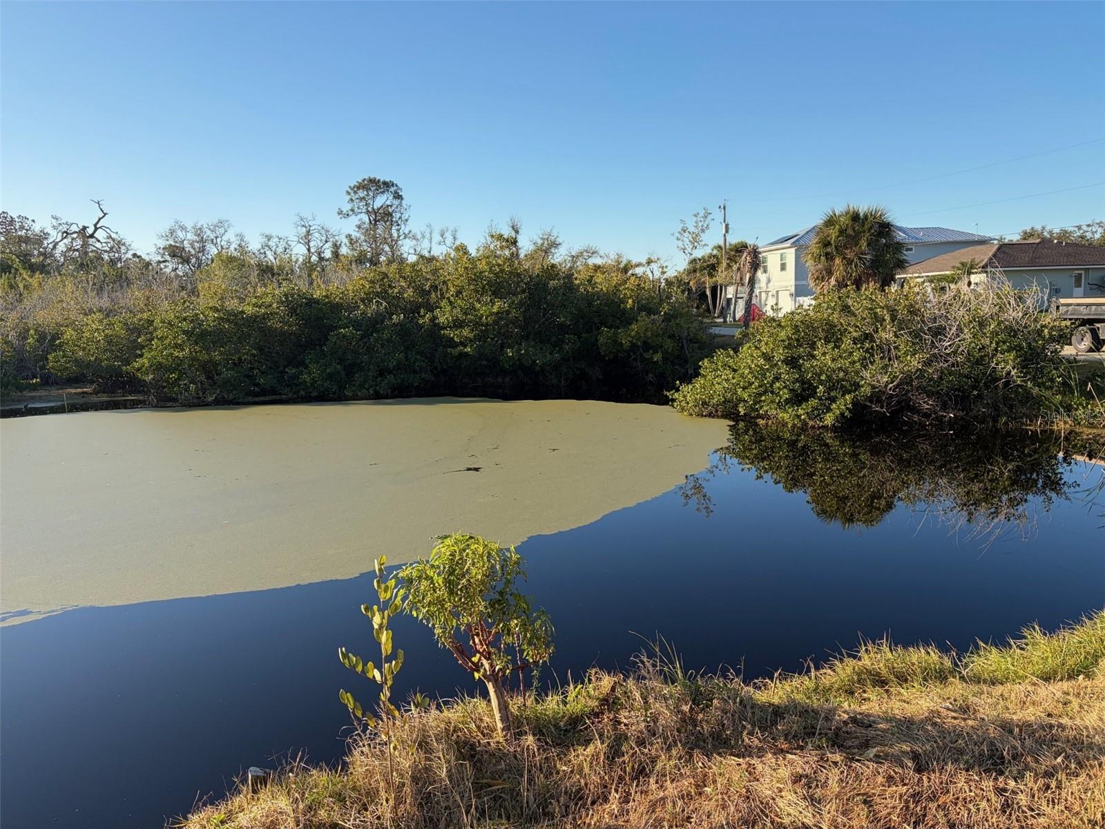 8195 PINE TREE LANE, ENGLEWOOD, FL, 34224 4 8195 PINE TREE LANE