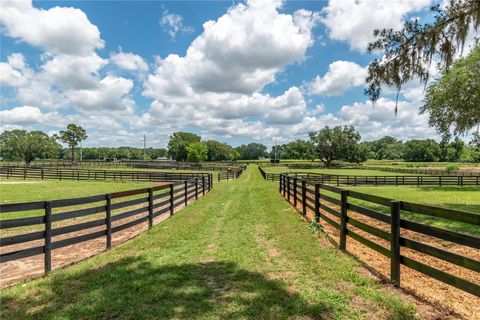 Tiny photo for 5450 NW 100th Street, Ocala, FL 34482 (MLS # OM725238)