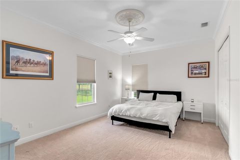Tiny photo for 5450 NW 100th Street, Ocala, FL 34482 (MLS # OM725238)