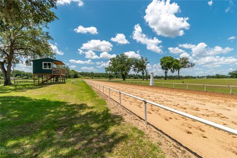 Tiny photo for 5450 NW 100th Street, Ocala, FL 34482 (MLS # OM725238)