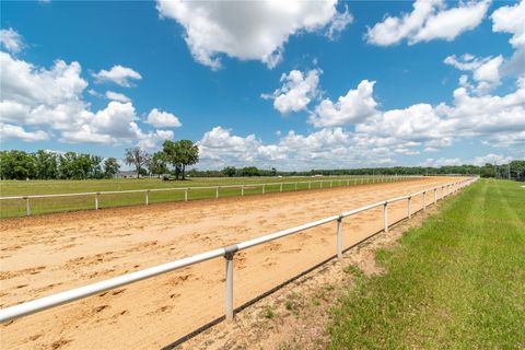 Tiny photo for 5450 NW 100th Street, Ocala, FL 34482 (MLS # OM725238)