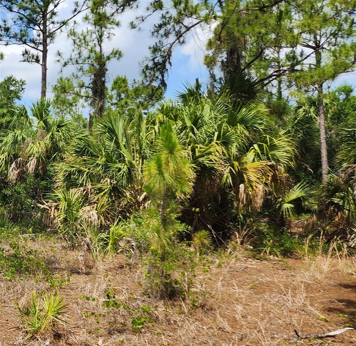 PORT CHARLOTTE SUB 22 - Land