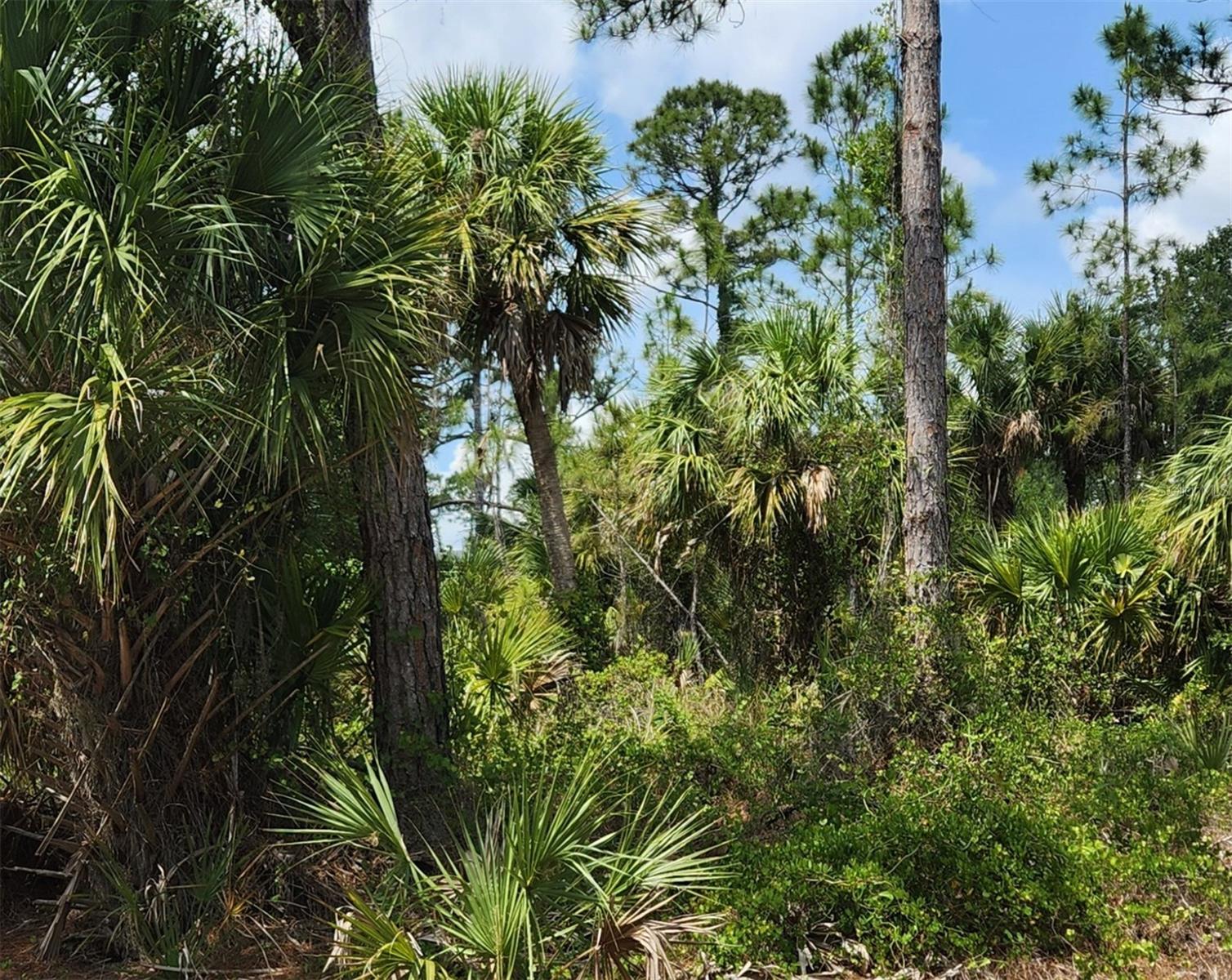 PORT CHARLOTTE SUB 22 - Land