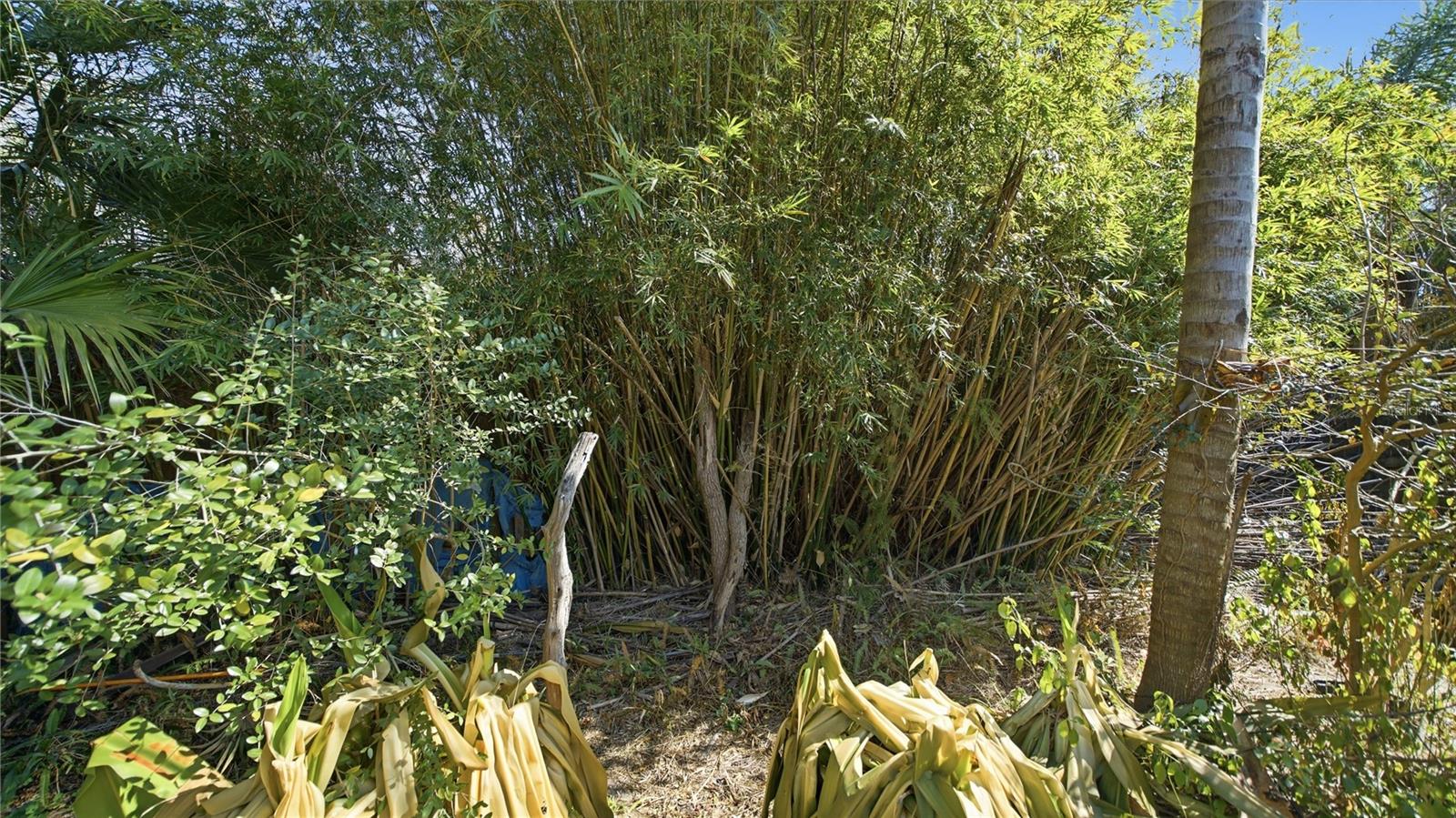 SUNSET PARK - Residential