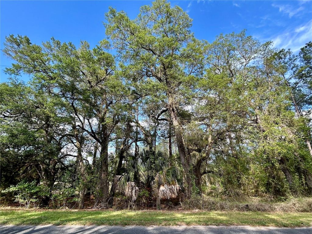 Photo of 4819 NE 211th Drive, Earleton, FL 32631 (MLS # GC540071)