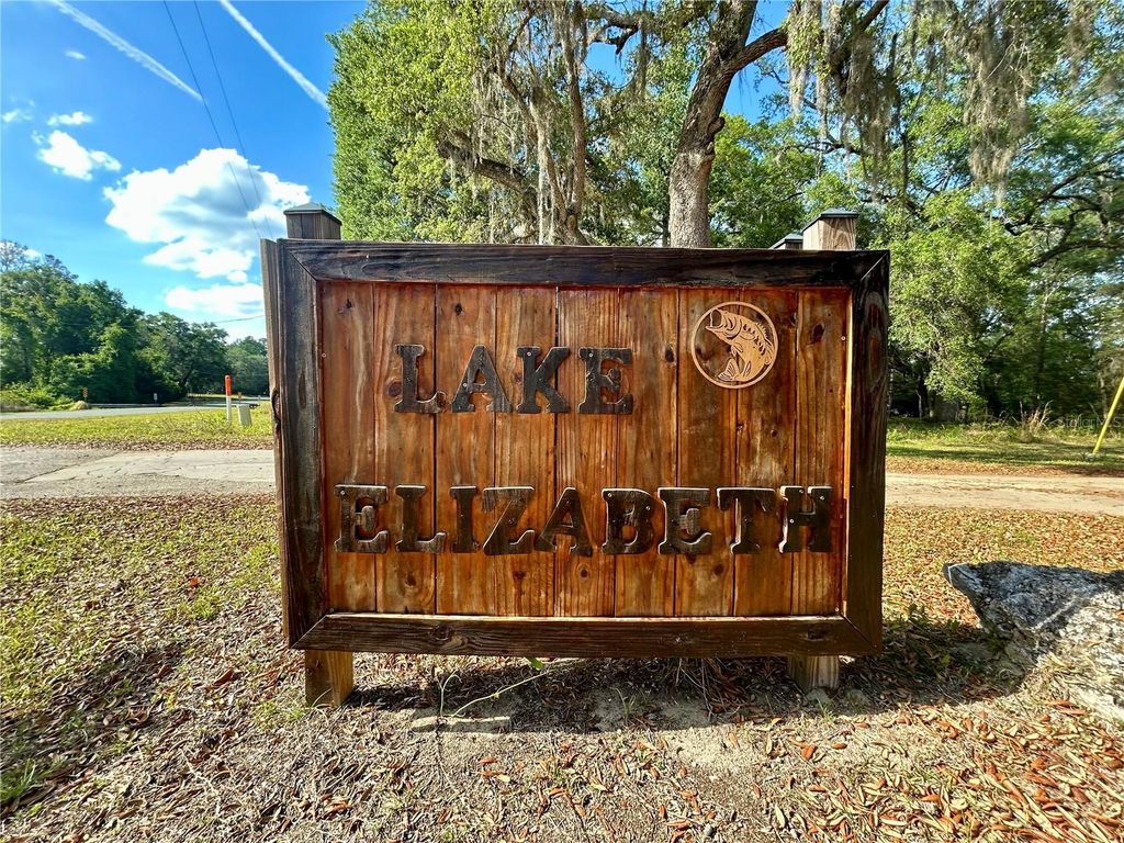 Photo of 4819 NE 211th Drive, Earleton, FL 32631 (MLS # GC540071)