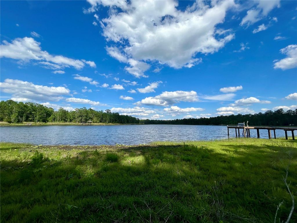 Photo of 4819 NE 211th Drive, Earleton, FL 32631 (MLS # GC540071)