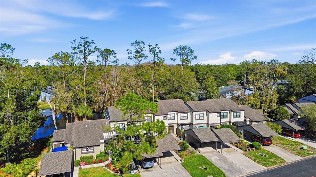 Photo of 405 Woods Landing Trail, Oldsmar, FL 34677 (MLS # A4676677)