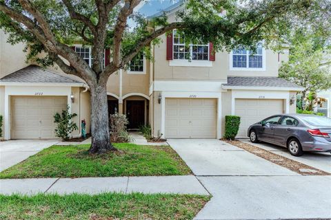 2720 CONCH HOLLOW DRIVE BRANDON FL 33511