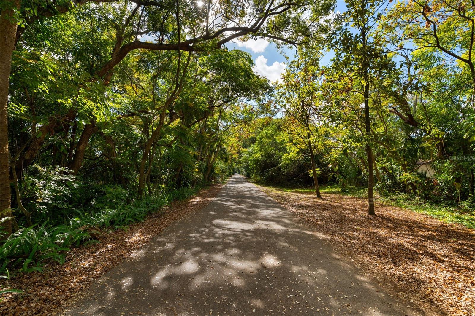 WINTER PARK PINES - Residential