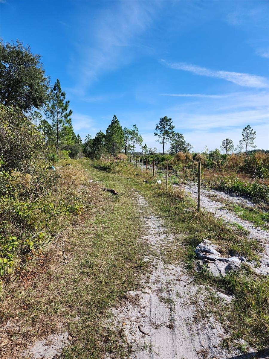 10.76 Acres of Opportunity!
Discover your slice of Central Florida paradise with this expansive 10.76-acre parcel, ready for your dream home, farmstead, or investment project. Located in the quiet countryside of Frostproof, this versatile property offers space, privacy, and potential.
??? Dual Access Points
Convenient access from both Lynch Road and W Frostproof Road gives you flexibility for home placement, outbuildings, or future driveways.
?? Location Perks:
20 minutes to Lake Wales
Close to Lake Clinch and Reedy Lake for fishing and recreation
Short drive to Hwy 27 for shopping, dining, and commuting access