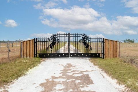 Tiny photo for 14461 SE 80th Street, Morriston, FL 32668 (MLS # O6385500)