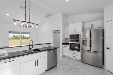 Tiny photo for 14461 SE 80th Street, Morriston, FL 32668 (MLS # O6385500)