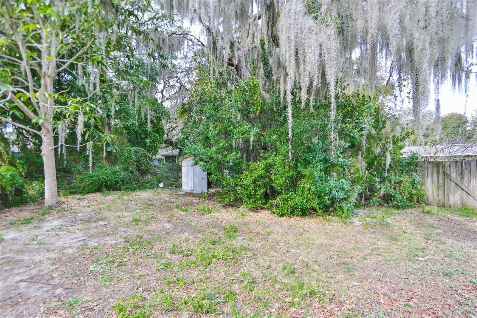 SHADOW LAWN - Residential