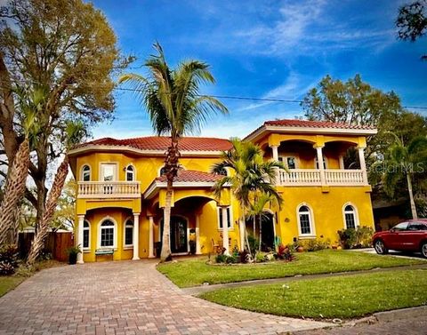 911 JUNGLE AVENUE N ST PETERSBURG FL 33710