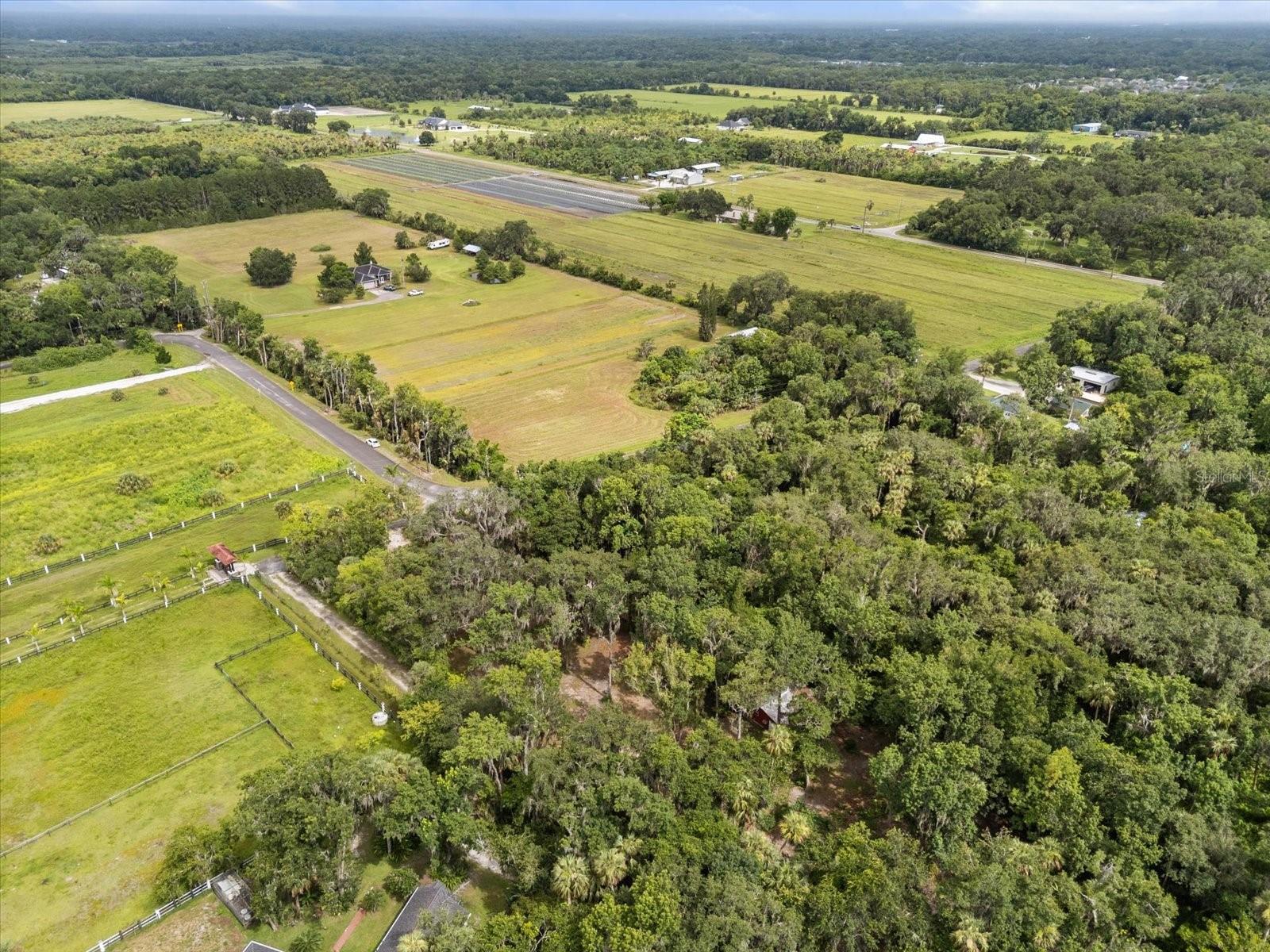 BLACK HAMMOCK - Land