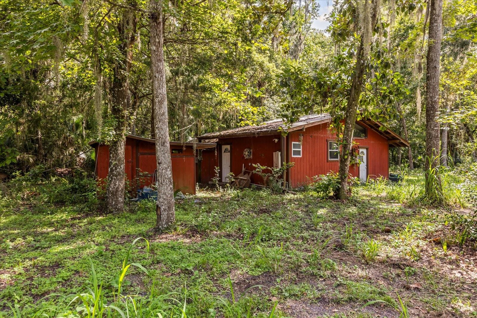 BLACK HAMMOCK - Land