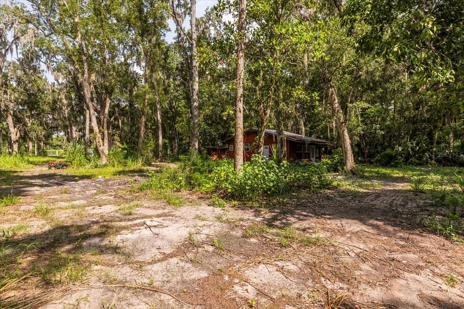 BLACK HAMMOCK - Land