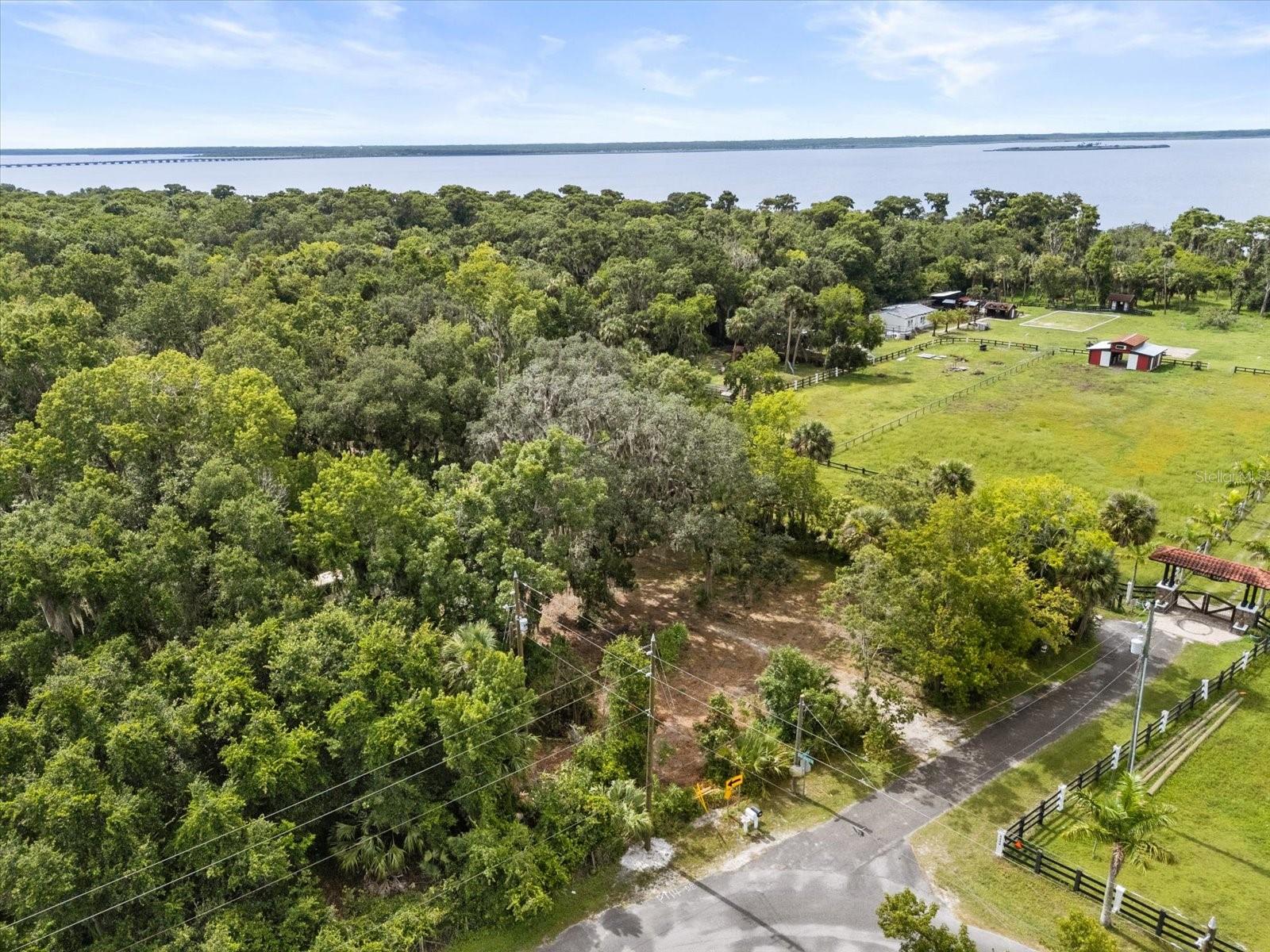 BLACK HAMMOCK - Land