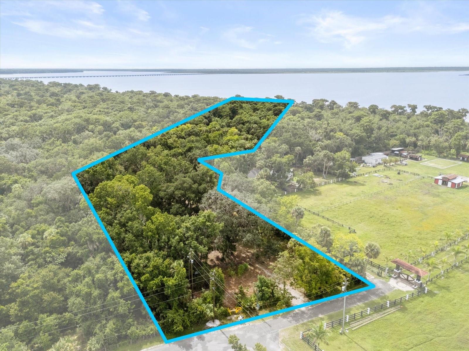 BLACK HAMMOCK - Land