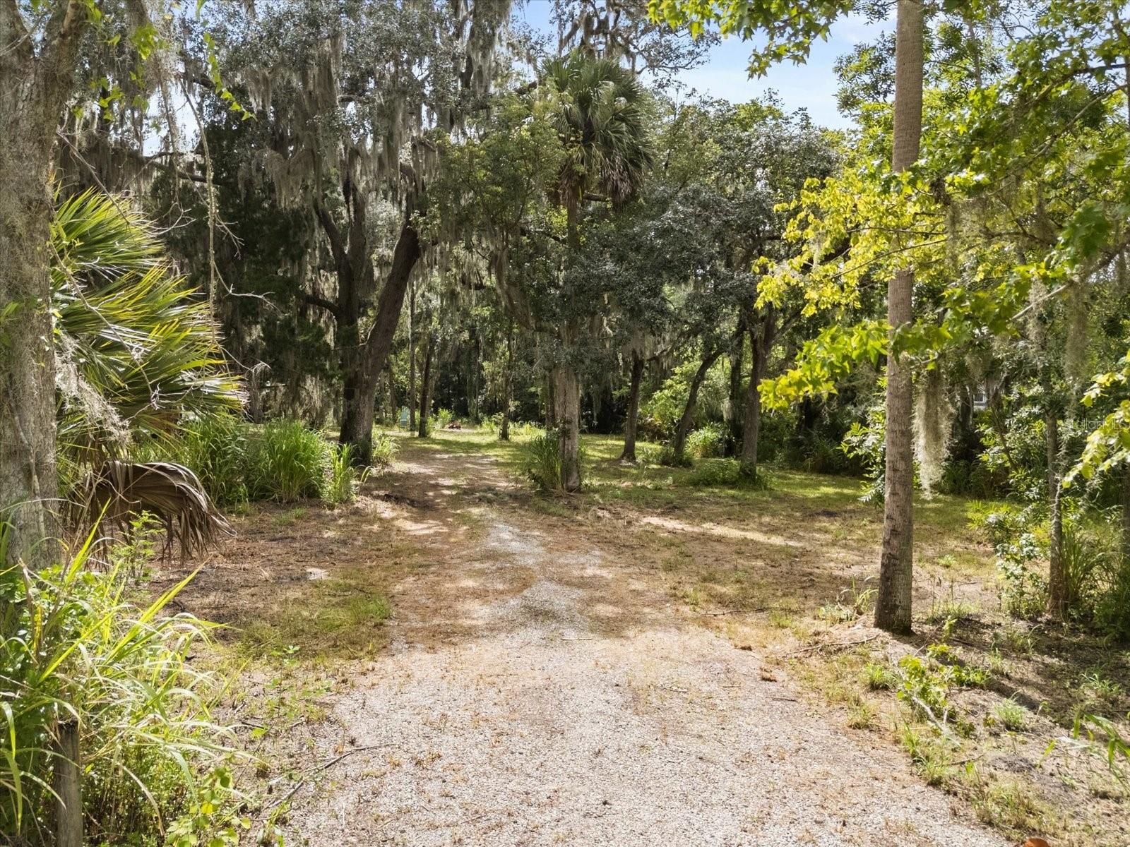 BLACK HAMMOCK - Land