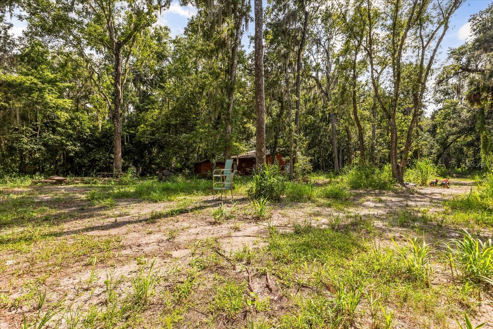 BLACK HAMMOCK - Land