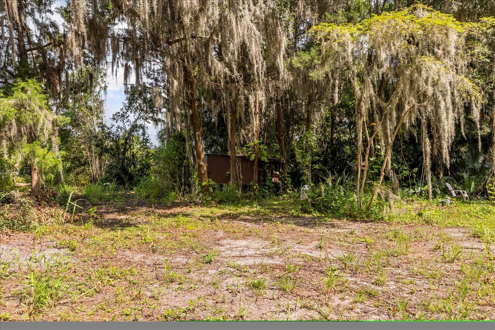 BLACK HAMMOCK - Land