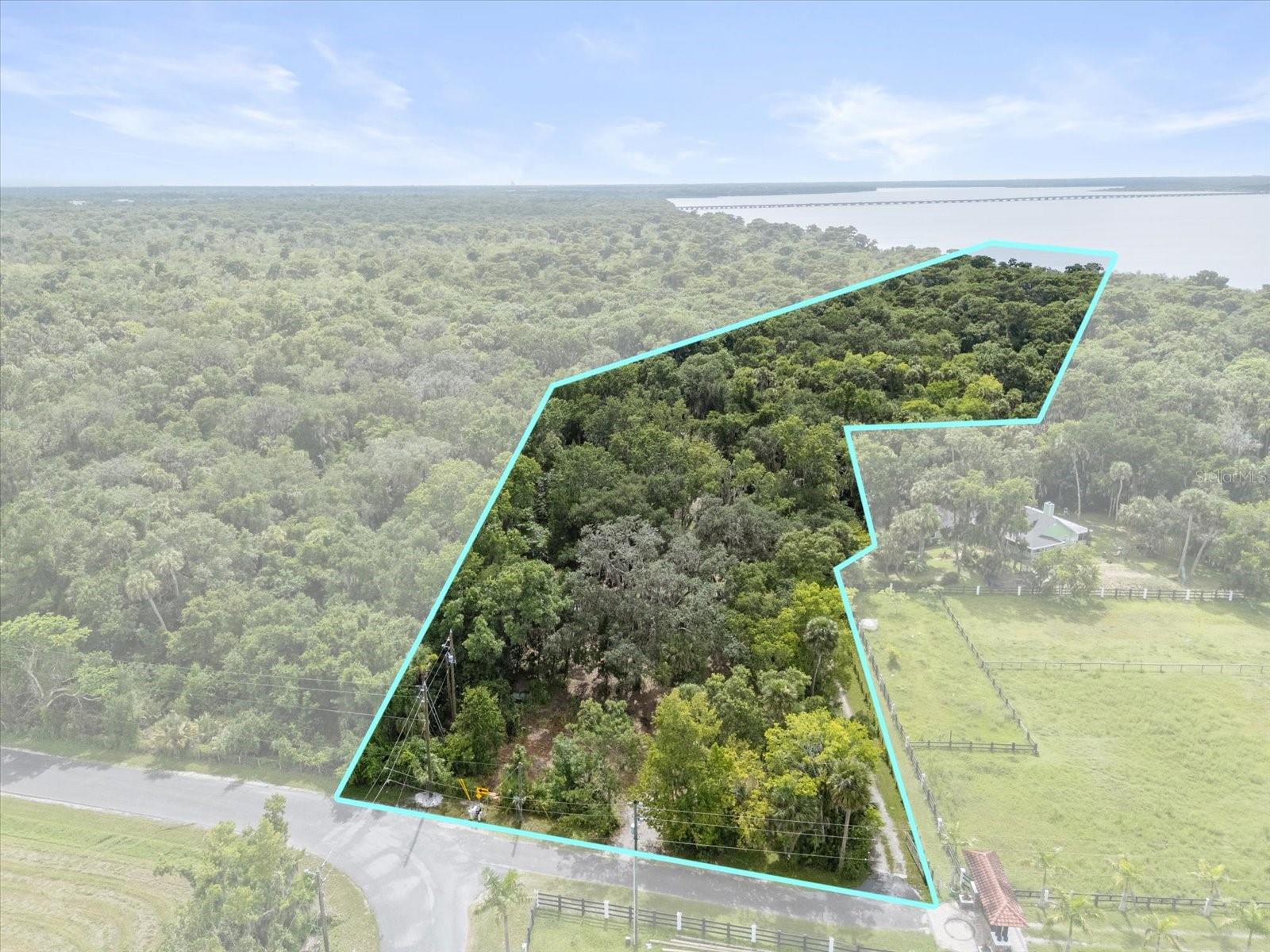 BLACK HAMMOCK - Land