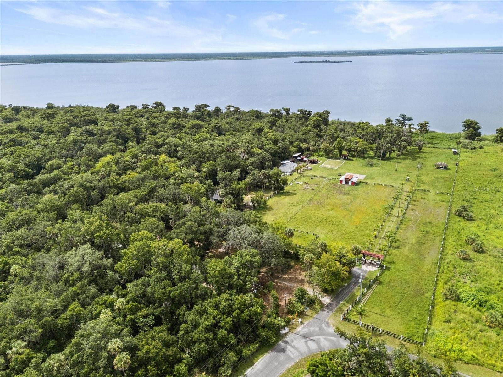 BLACK HAMMOCK - Land