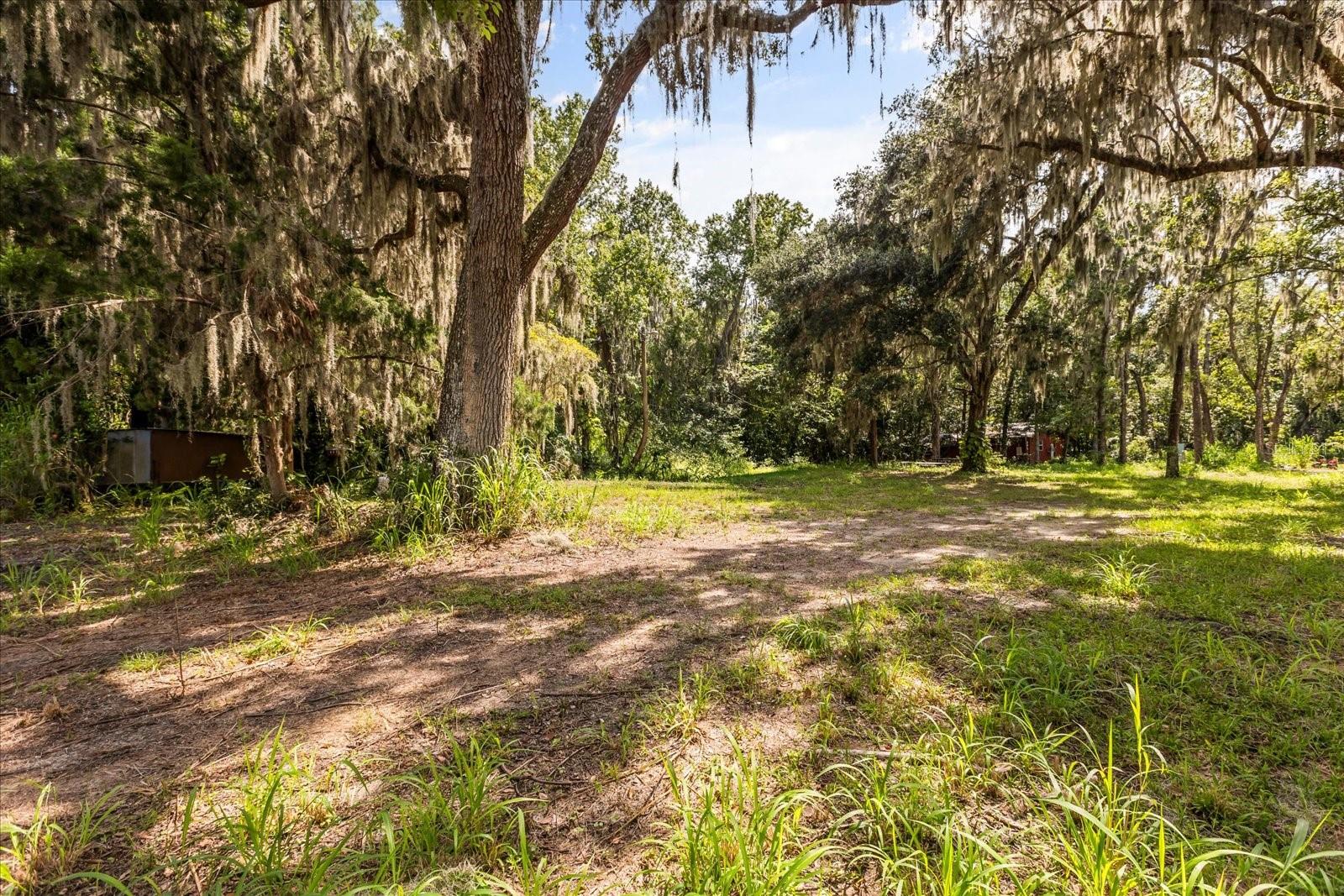 BLACK HAMMOCK - Land