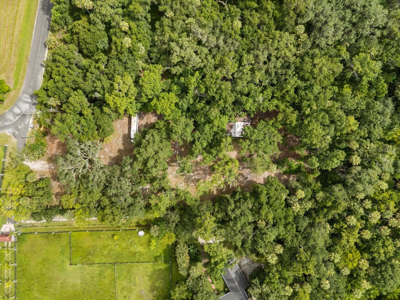 BLACK HAMMOCK - Land