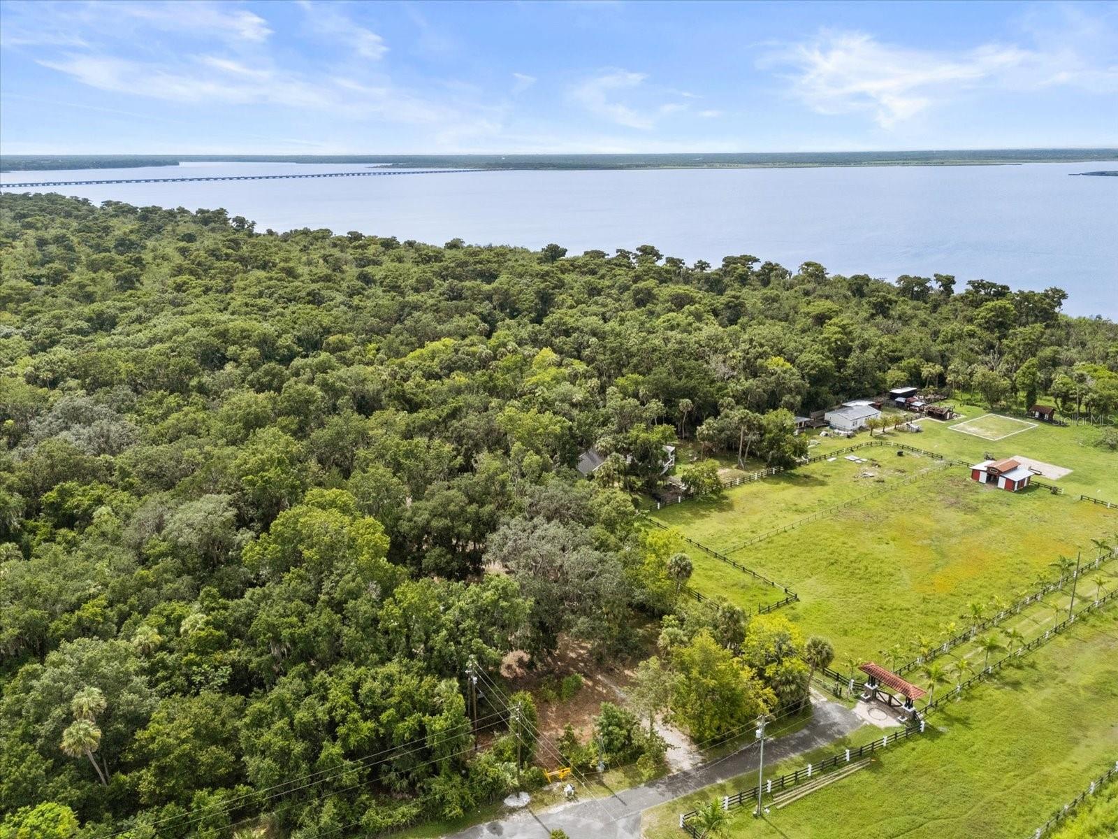 BLACK HAMMOCK - Land