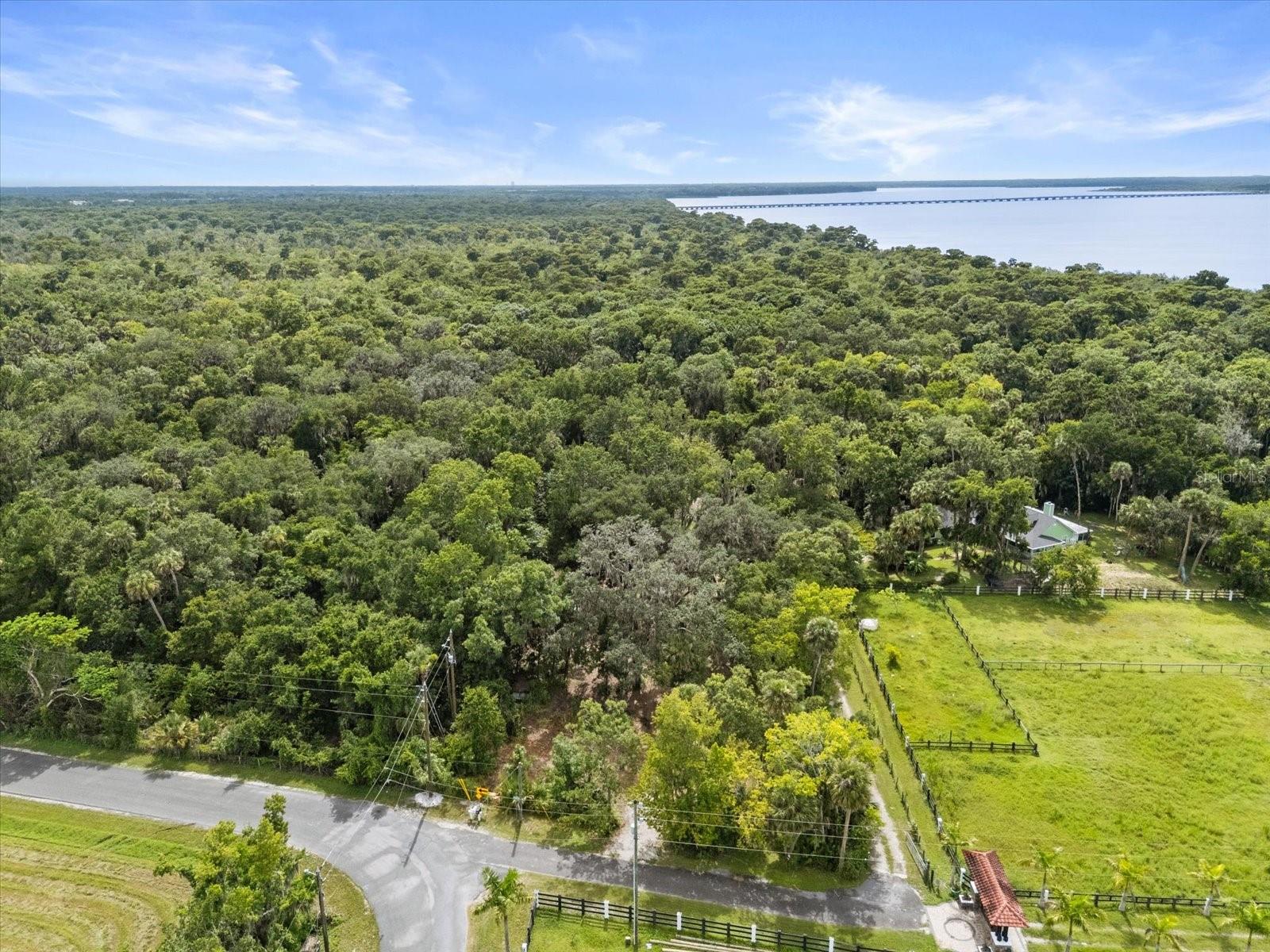 BLACK HAMMOCK - Land