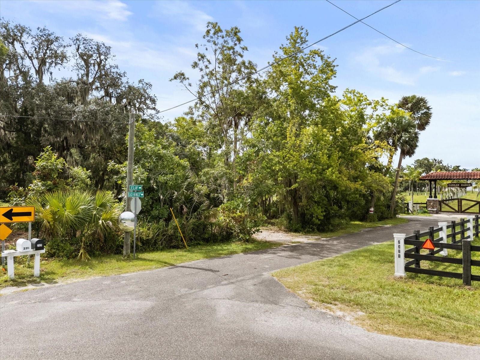 BLACK HAMMOCK - Land