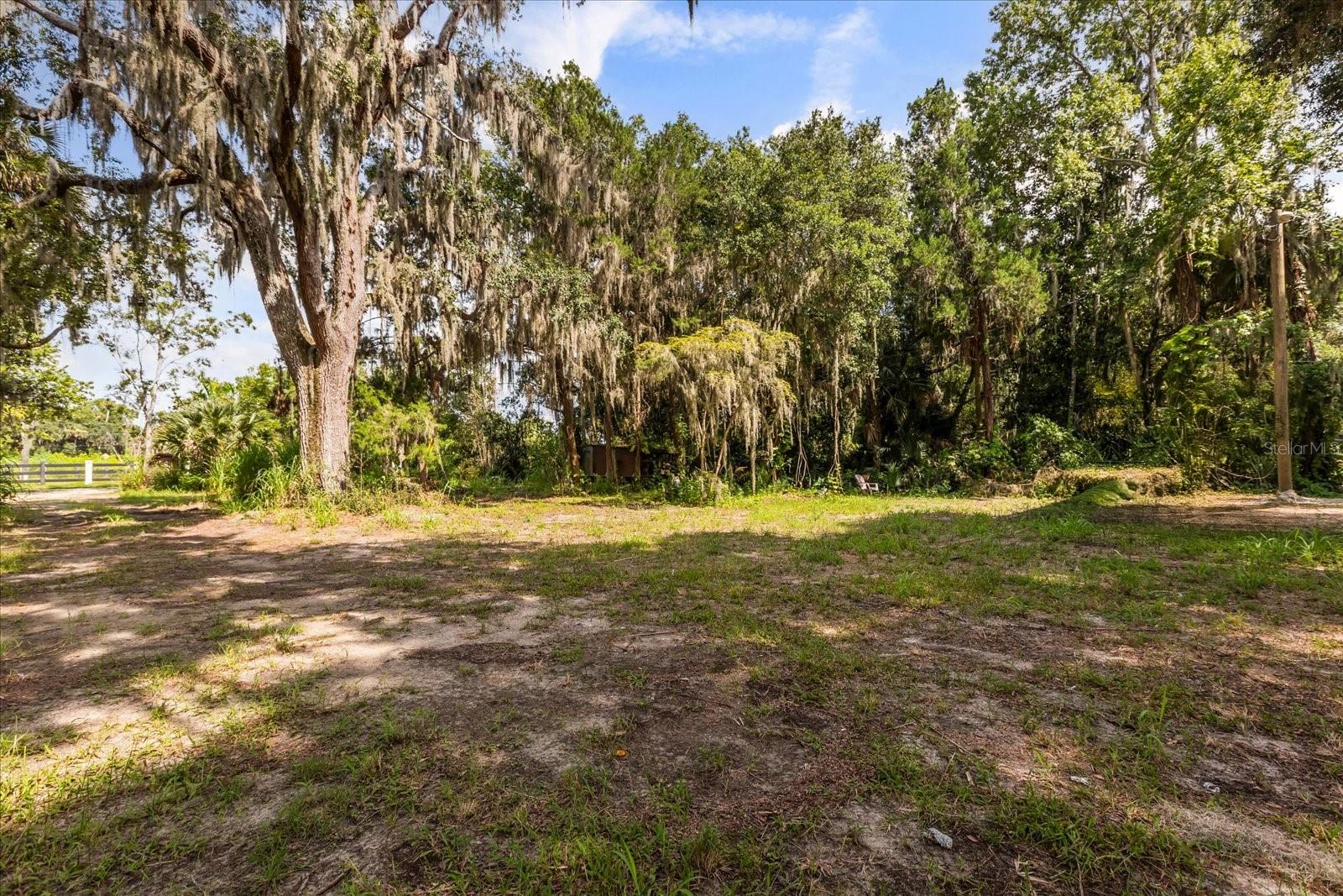 BLACK HAMMOCK - Land