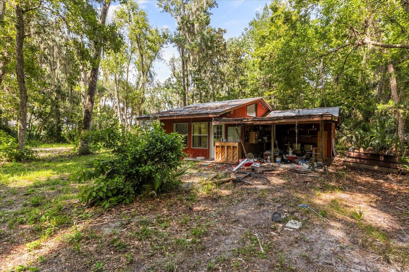 BLACK HAMMOCK - Land