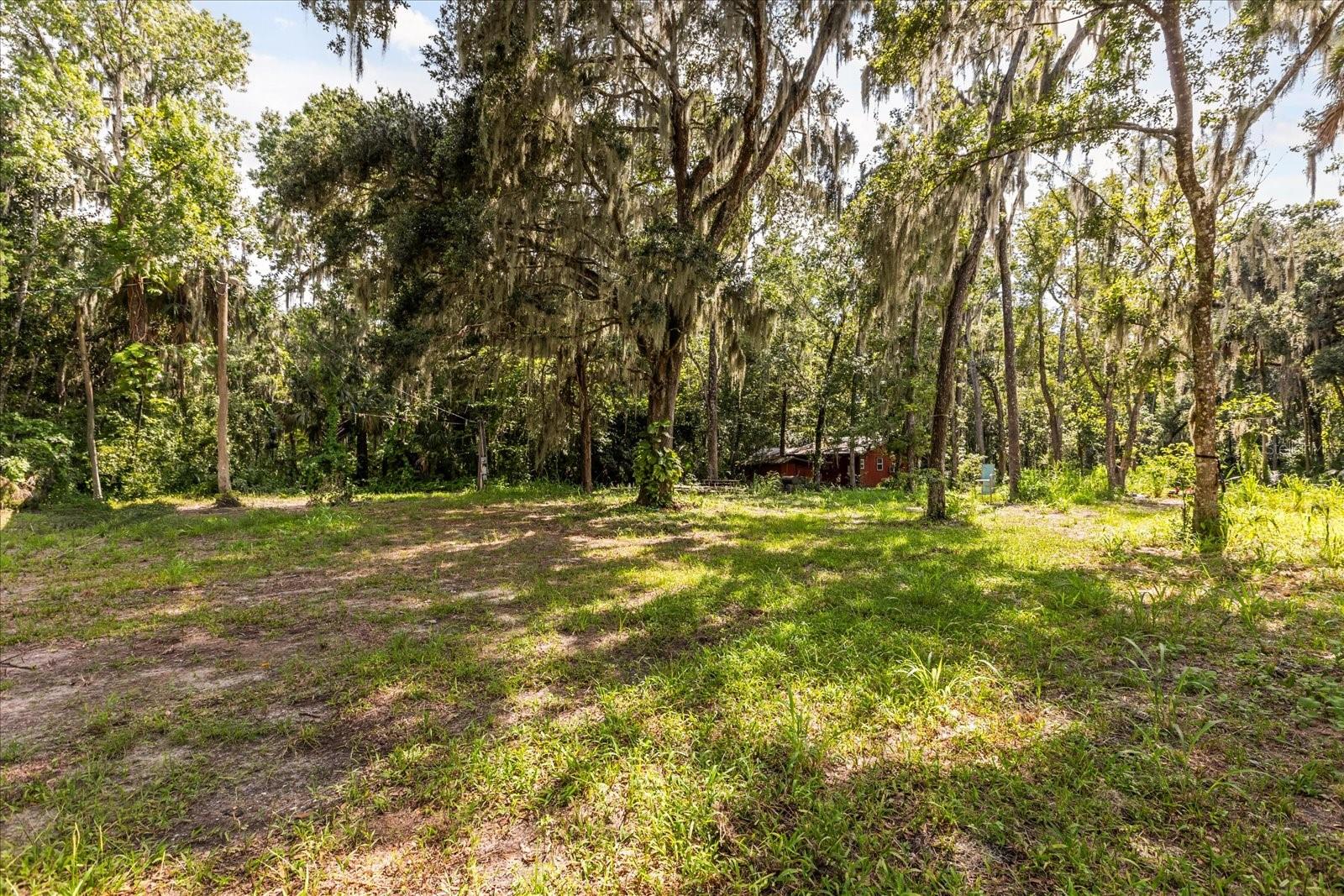 BLACK HAMMOCK - Land