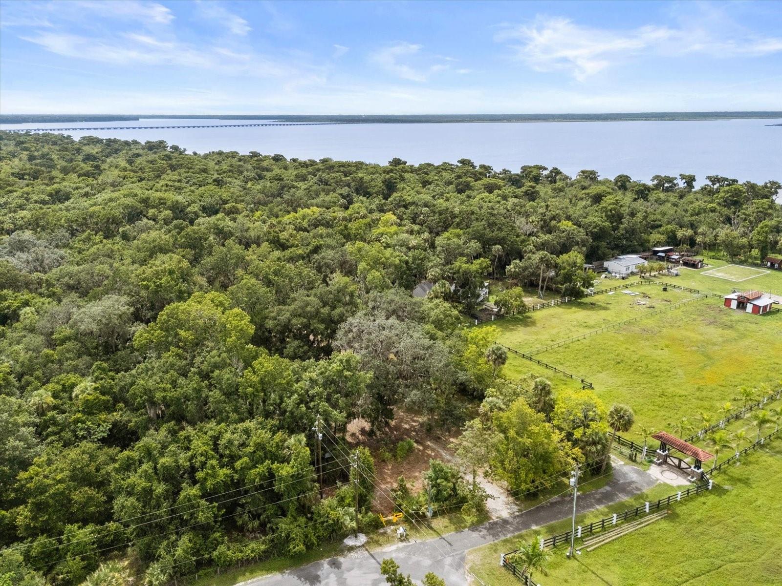 BLACK HAMMOCK - Land