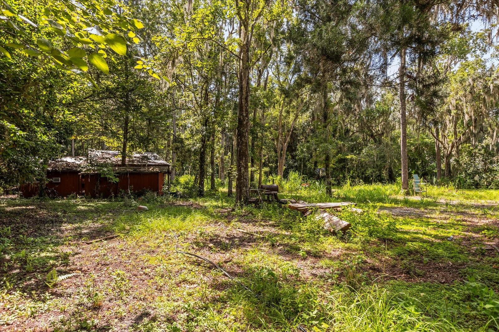 BLACK HAMMOCK - Land