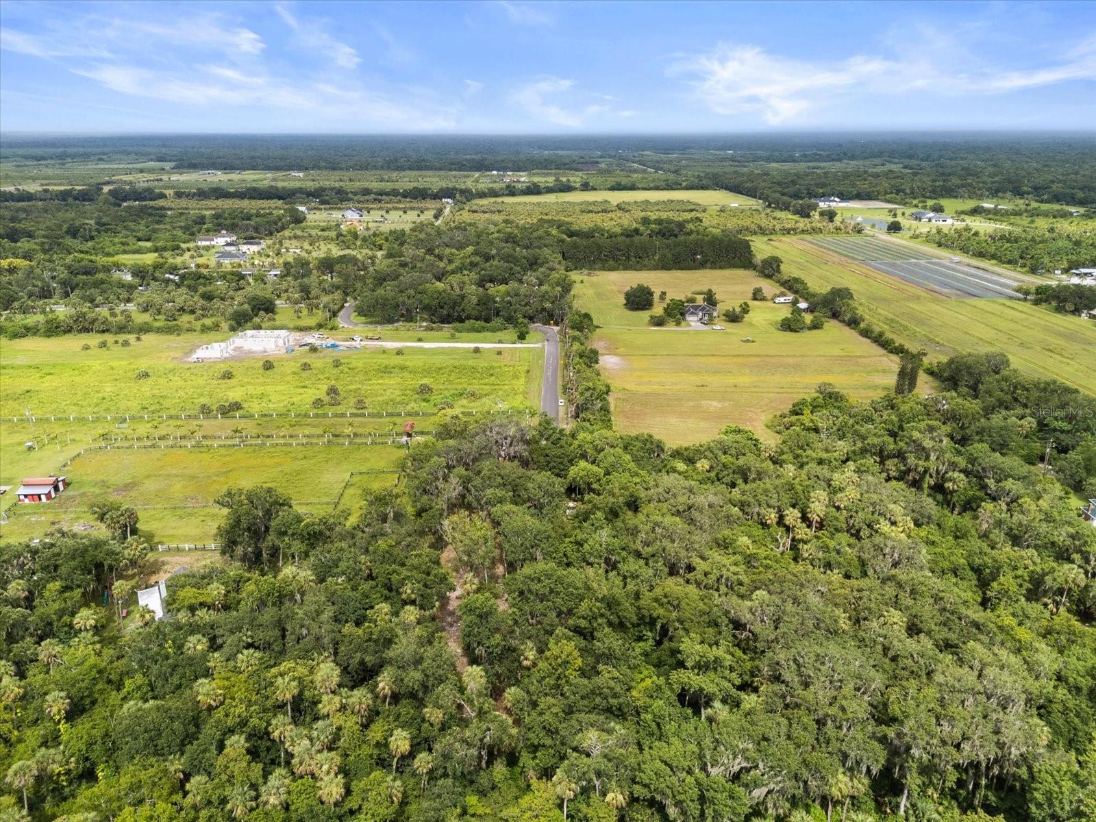 BLACK HAMMOCK - Land