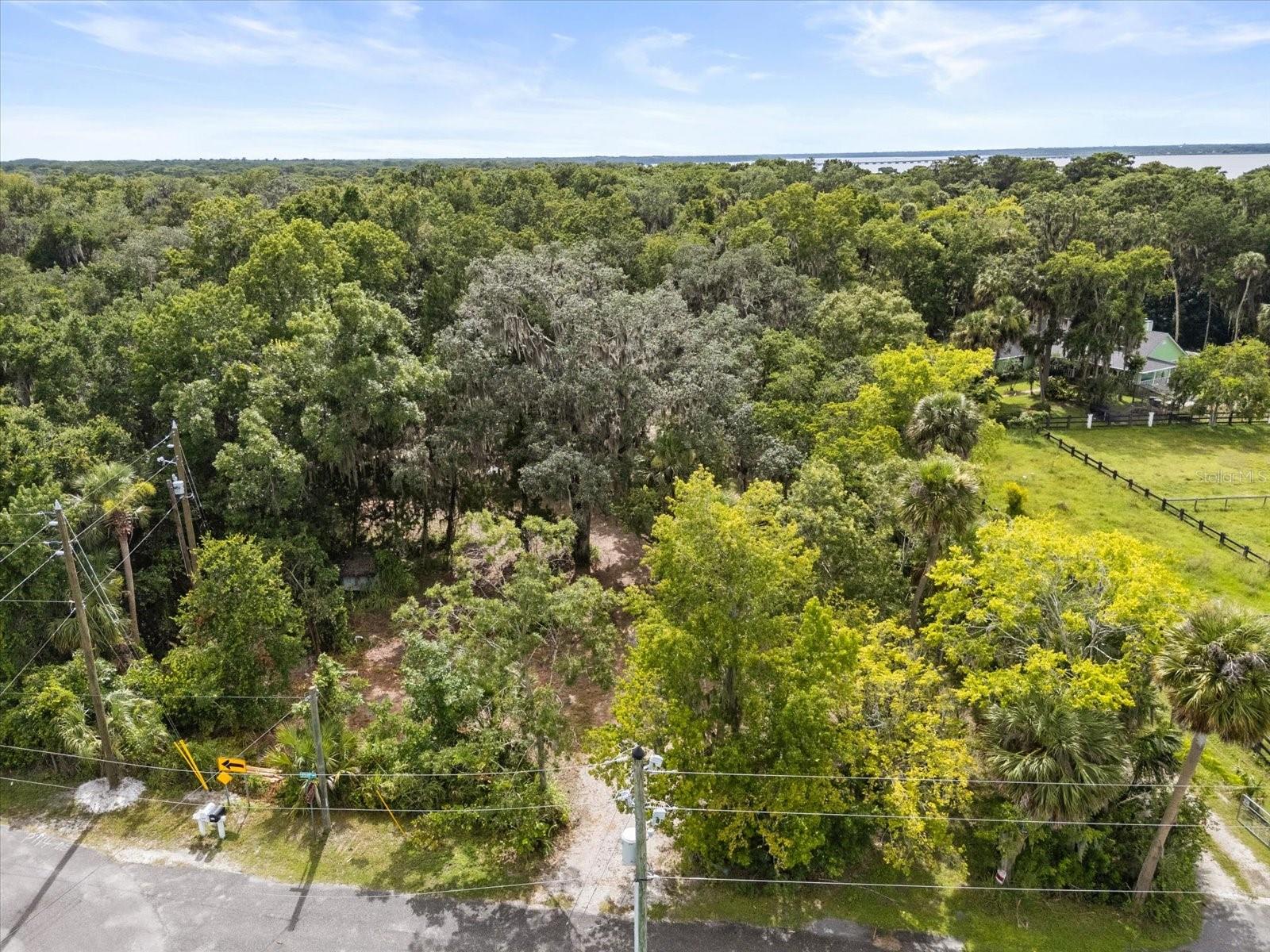 BLACK HAMMOCK - Land