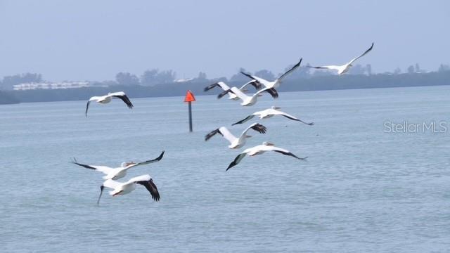 PARK POINTE MOB HME VLGE - Land