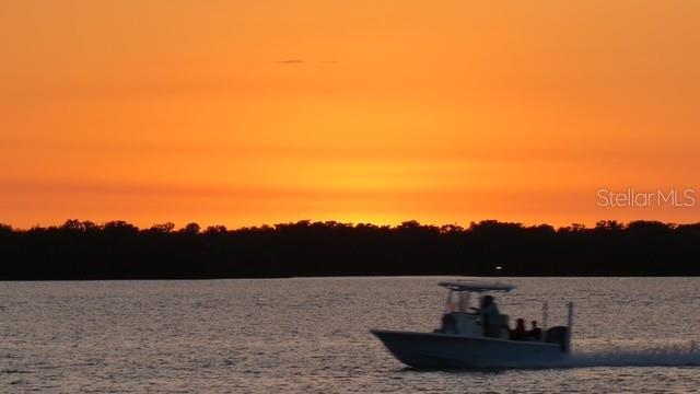 PARK POINTE MOB HME VLGE - Land