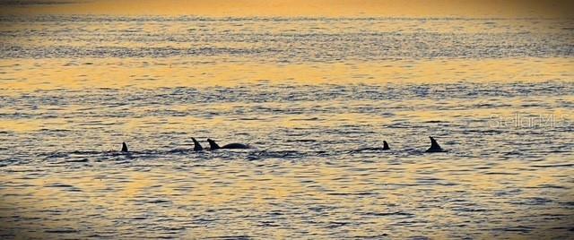 PARK POINTE MOB HME VLGE - Land