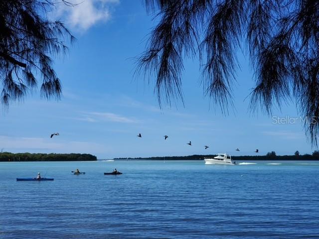 PARK POINTE MOB HME VLGE - Land