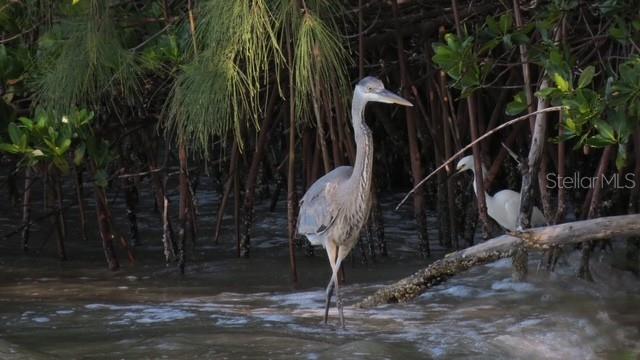 PARK POINTE MOB HME VLGE - Land