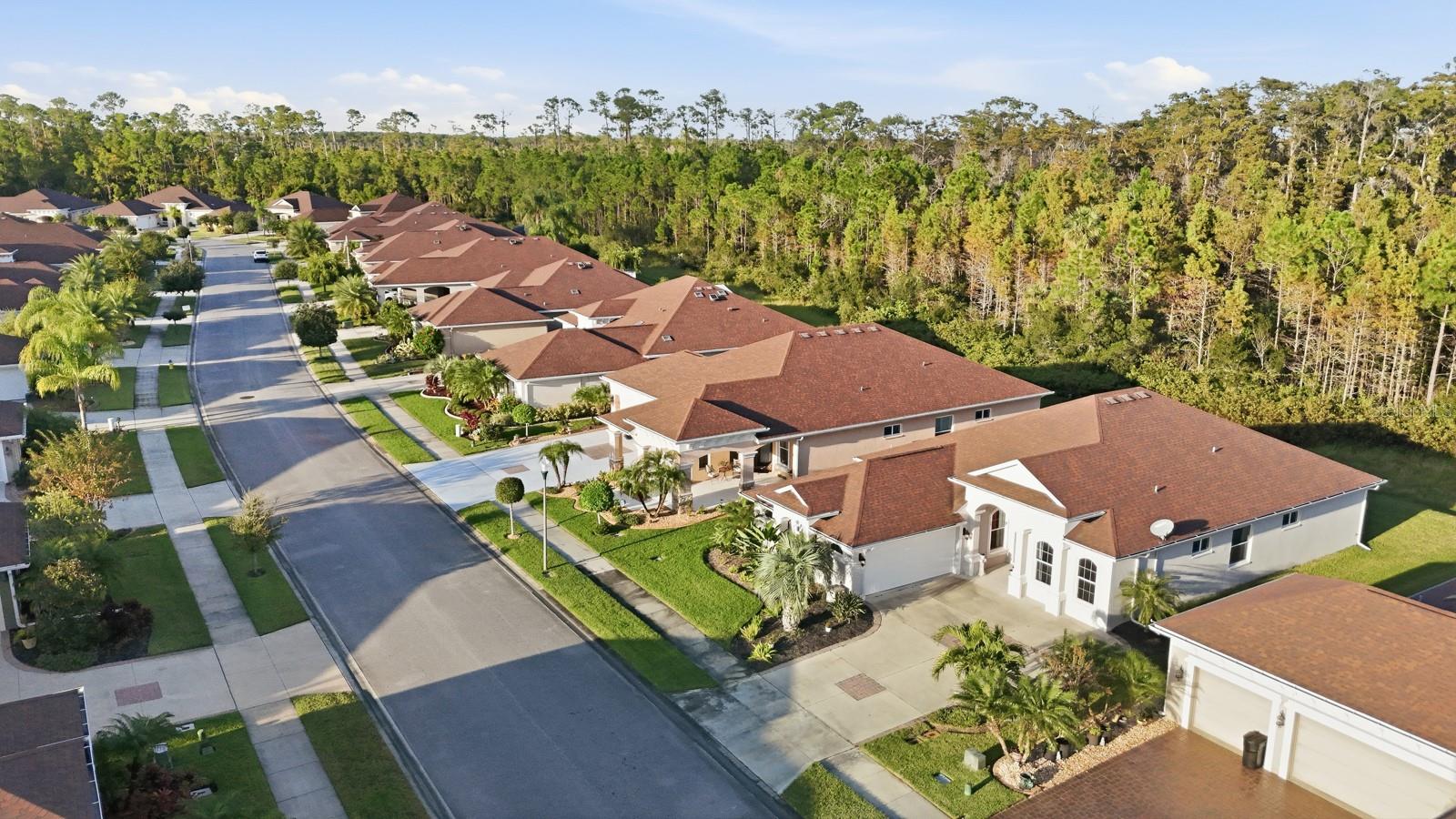 VERANO AT VENETIAN BAY - Residential
