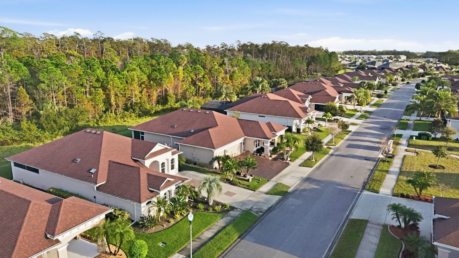 VERANO AT VENETIAN BAY - Residential