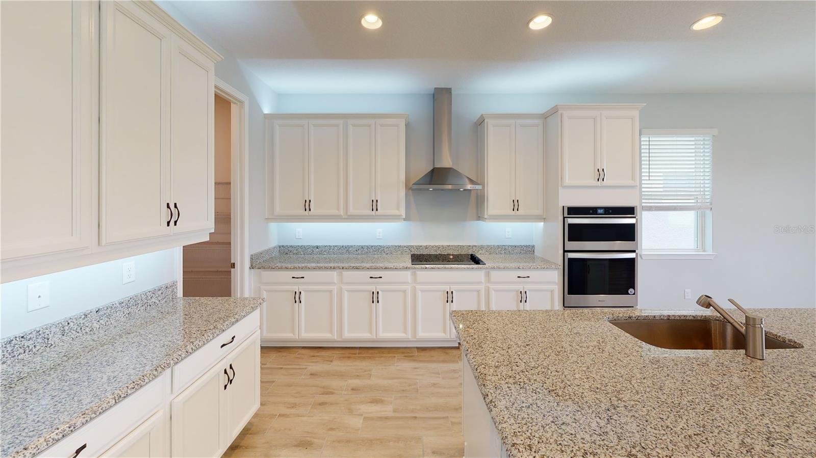 HILLS OF MINNEOLA - Residential