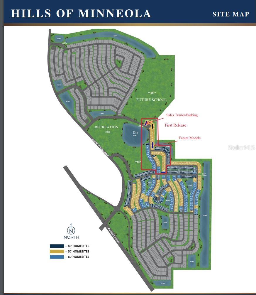HILLS OF MINNEOLA - Residential